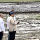 Presiden uji coba drone untuk tebar benih saat tanam raya di Banyuasin,Buatlah judul di samping menjadi lebih menarik