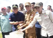 Gubernur Lampung dan Ketua DPRD Hadiri Panen Raya Serentak Dukung Program Swasembada Pangan,Buatlah judul di samping menjadi lebih menarik
