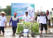 Gerakan Indonesia Menanam, Lampung Pacu Produksi Padi dan Serapan Gabah