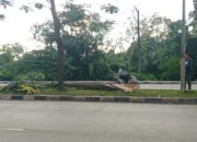 Truk Fuso Tabrak Pohon di Median, Warga Palembang Turun Tangan Lakukan Evakuasi!