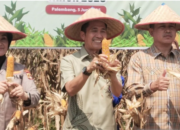 Ratu Dewa Ajak Warga Palembang Tanam Buah di Rumah, Wujudkan Kemandirian Pangan