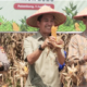 Ratu Dewa Ajak Warga Palembang Tanam Buah di Rumah, Wujudkan Kemandirian Pangan
