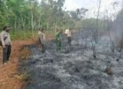 Karhutla Masih Mengancam, BPBD Sumsel Catat 33 Kasus hingga Juli 2025