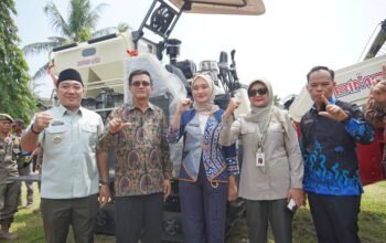 IMG-20250710-WA0016