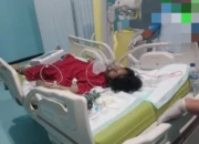 Tukang Ojek Dianiaya di Deiyai, Satgas Damai Cartenz Lakukan Penyelidikan