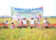 Herman Deru: Disiplin Adalah Kunci Petani Sumsel Menuju Swasembada!