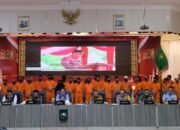 213 Hektare Lahan Terbakar di Riau, Diduga untuk Pembukaan Perkebunan Sawit