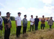 DPD RI Siap Kawal Program Sawah Baru Presiden Demi Wujudkan Astacita