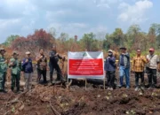Kemenhut Tutup Akses Tiga Perusahaan Pemilik Lahan Gambut Terbakar di Riau
