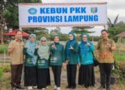 TP. PKK Provinsi Lampung Dorong Pemanfaatan Pekarangan Rumah untuk Ketahanan Pangan Keluarga