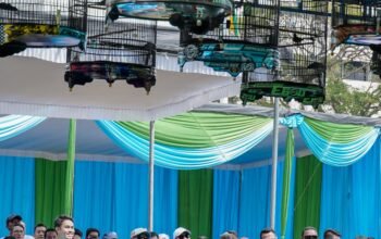 IMG-20250810-WA0016 IMG-20250810-WA0016