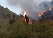 Kebakaran Lahan Gunung Rinjani Terkendali, 70 Hektare Hangus