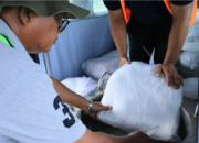 BPBD: Modifikasi Cuaca di Sumbar Efektif Tekan Karhutla