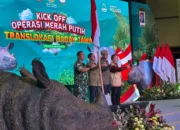 Kemenhut Luncurkan Operasi Merah Putih: Selamatkan Badak Jawa dari Kepunahan