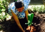 Cacingan Bukan Hanya Masalah Anak, Dewasa Pun Bisa Terkena