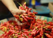 Bapanas Rilis Harga Pangan: Cabai Rawit Rp39.545/kg, Bawang Merah Rp46.700/kg