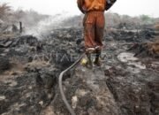 BNPB Minta Pemda Siaga Ganda Hadapi Banjir dan Karhutla Akibat Anomali Cuaca