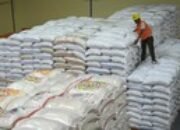 Bulog Siapkan 10 Ribu Ton Beras untuk Bantuan Kemanusiaan ke Palestina