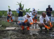 Pelindo Multi Terminal Group Tanam 11.000 Mangrove untuk Pelestarian Lingkungan
