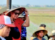 PDIP Tegaskan Komitmen Bersama Presiden Prabowo Jaga Ketahanan Pangan