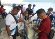 KKP Kumpulkan 230 Kg Sampah Pesisir Padang Lewat Gerakan Laut Sehat