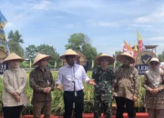 Sumsel Jadi Tuan Rumah Gebyar Perbenihan Tanaman Pangan Nasional 2025