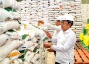 Kepala Bapanas Tegaskan Pentingnya Menjaga Kualitas Stok Beras Pemerintah