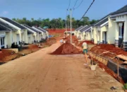 Kemenhut Tahan Dua Tersangka Penambangan Ilegal di Kawasan Hutan Bojonegoro