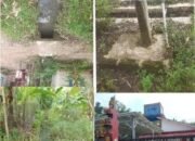 Warga Harapkan  Pemerintah Tiyuh Murni Jaya  Ambil Sikap Terkait  Air Masuk Pekarangan Rumah Saat Hujan