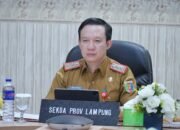 Lampung Jadi Salah Satu Provinsi dengan Harga Pangan Paling Stabil Minggu Ini