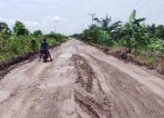 Jalan Brabasan–Wiralaga di Mesuji Rampung Dikerjakan, Warga Kini Mudah Angkut Hasil Panen
