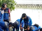 Pemkab Tanam Puluhan Mangrove untuk Lestarikan Ekosistem Pesisir