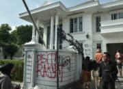 Kucing Milik Uya Kuya Diamankan Polisi, Kini di Bawah Perawatan Dinas KPKP