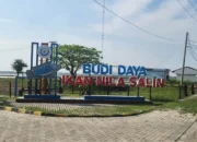 Waskita Garap Proyek Tambak Nila Salin Rp238 Miliar