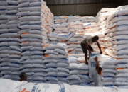 BPS: Produksi Beras Juli 2025 Tembus 2,77 Juta Ton