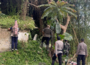 Hewan Liar Lepas! Macan Tutul dari Lembang Park and Zoo Masuk Hutan Tangkuban Parahu