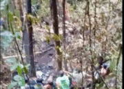 Helikopter BK117 D3 Jatuh dan Terbakar di Hutan Mentewe, Kalsel