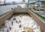 Holding Pangan, Fondasi Ekonomi Kuat untuk Generasi Emas Indonesia