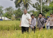 Komisi IV DPR Minta Distributor Tak Permainkan Pupuk Subsidi