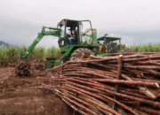 APTRI: Kerja Sama SGN-Danantara dan PIR Beri Harapan Baru Penyerapan Gula