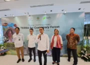 Masyarakat Hukum Adat Kini Bisa Ambil Peran di Perdagangan Karbon, Kata Kemenhut