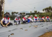 Dorong Kemandirian Energi, Pertamina NRE Kembangkan Desa Energi Berdikari