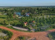 PT Timah Reklamasi 75,52 Hektare Lahan Bekas Tambang di Babel