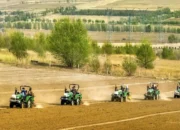 Produk Biji-Bijian Kasar China Makin Diminati Konsumen Domestik dan Internasional