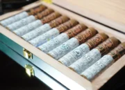 PTPN Siapkan 500 Hektare Lahan untuk Perkuat Industri Tembakau di Deli Serdang