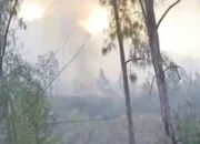 Kebakaran Hutan di Gunung Rinjani, Tim Gabungan TNGR Gerak Cepat Padamkan Titik Api Baru