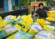 Beras Disebut BPS Sebagai Salah Satu Penekan Inflasi September 2025