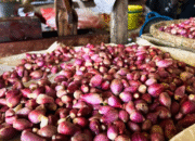 Harga Pangan Naik: Cabai Rawit Tembus Rp45 Ribu, Bawang Merah Rp38 Ribu per Kilo