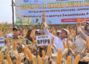 Menuju Indonesia Tahan Krisis, Begini Strategi Wujudkan Ketahanan Pangan!