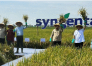 Mentan Ungkap 27 Ribu Anak Muda Sukses Jadi Petani dengan Penghasilan Rp20 Juta